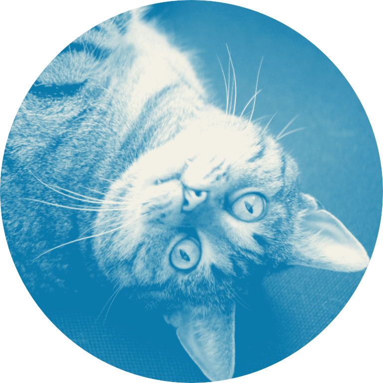Lilly_01_sky